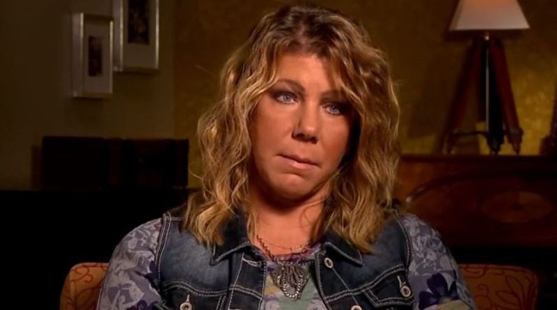 Sister Wives: Meri Brown