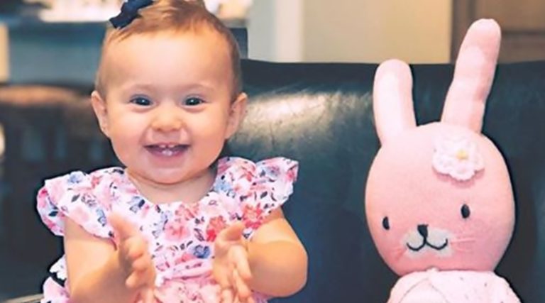Counting On Felicity Vuolo