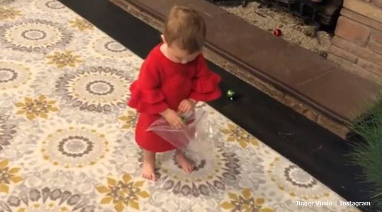Duggar felicity vuolo