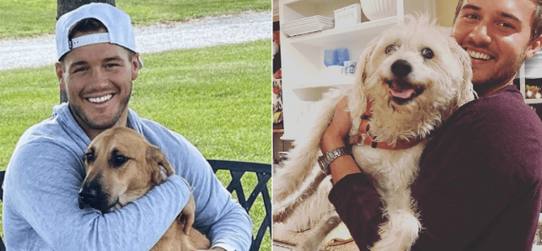 colton underwood and peter weber