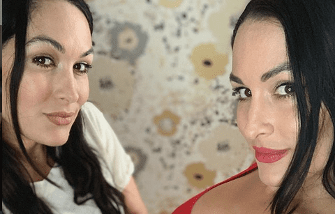 Total Bellas Nikki Brie Instagram