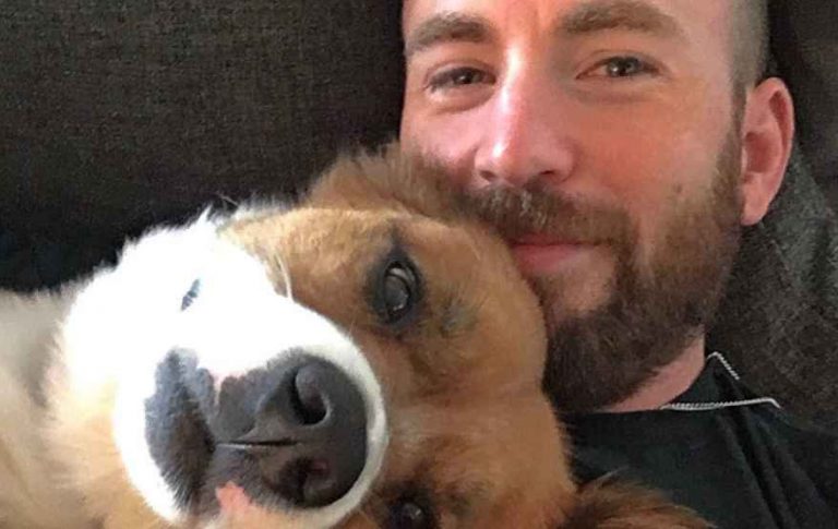 Chris Evans accidentally posted an explicit image