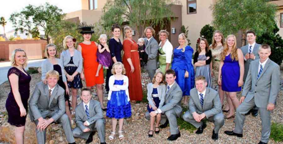 What does Sister Wives star Kody Brown contribute to the family?