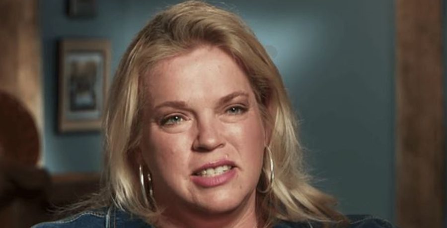 Janelle Brown Sister Wives