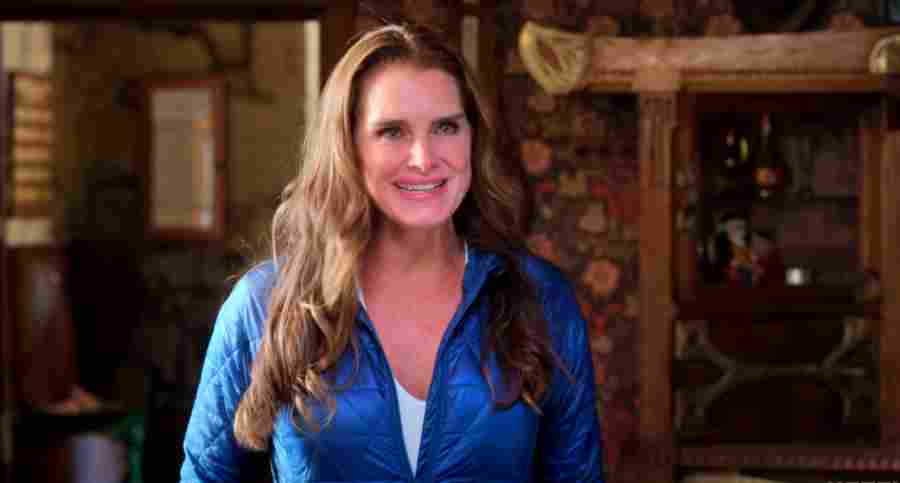 Brooke Shields in A Castle for Christmas