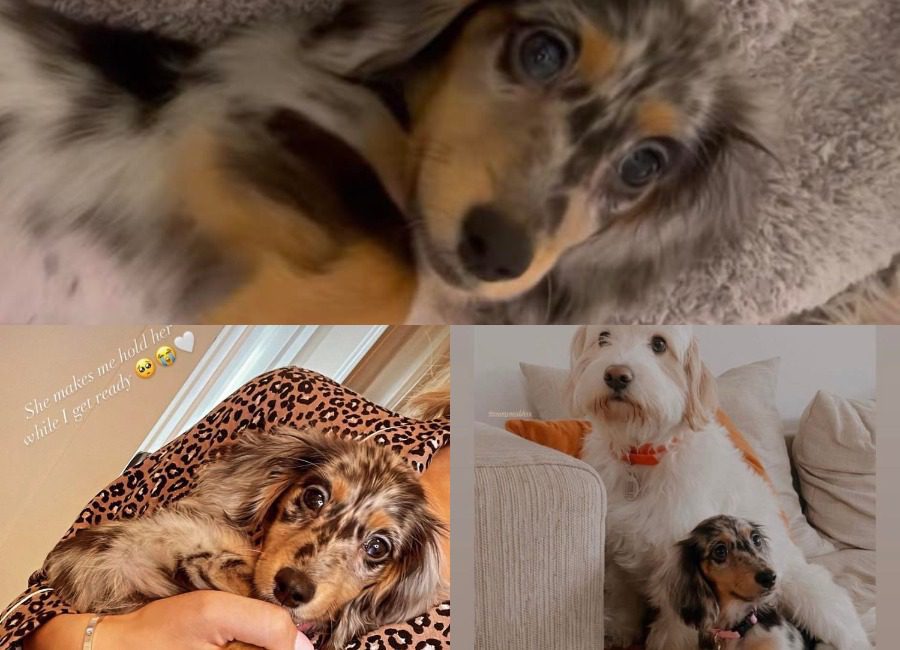 Emmy/Chase - Instagram