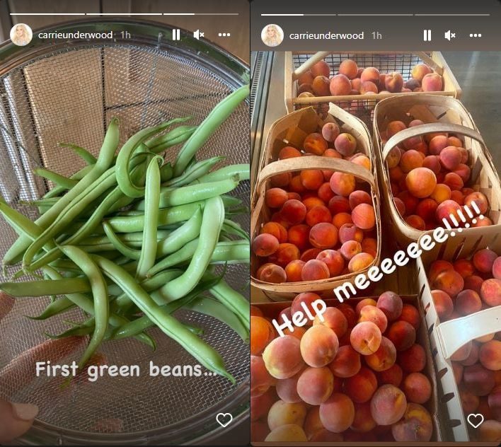 Carrie Underwood Instagram