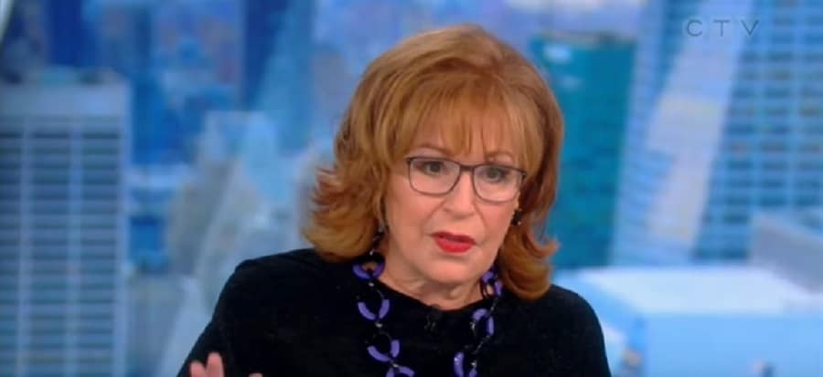 Joy Behar Snubs Fan? [The View | YouTube]