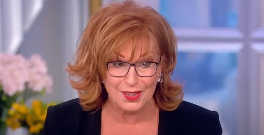 The View - Joy Behar - Youtube
