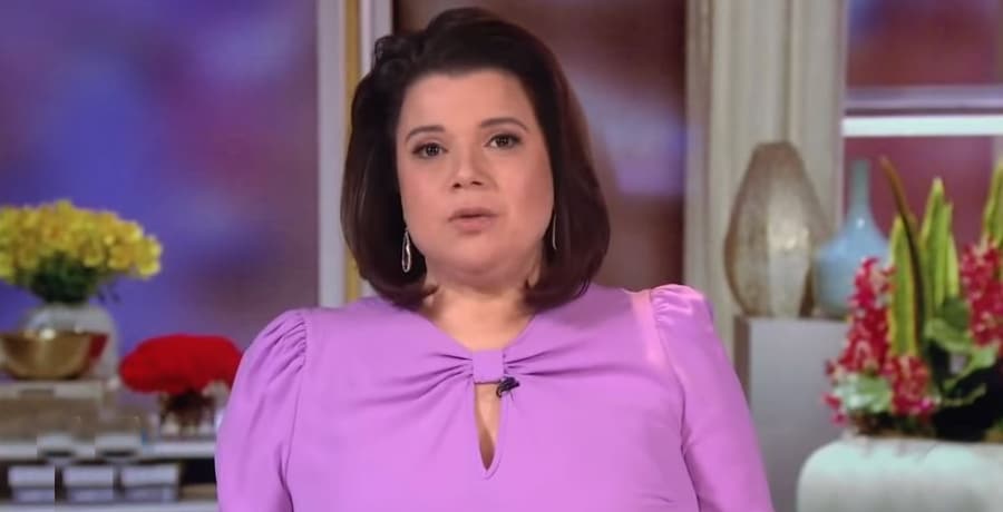 Ana Navarro The View YouTube