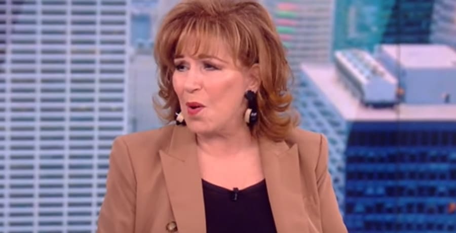 The View Joy Behar [The View | YouTube]