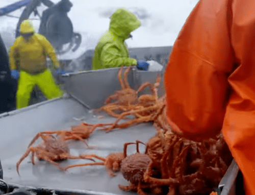 Deadliest Catch-https://www.youtube.com/watch?v=Ga8zdOv_mR8
