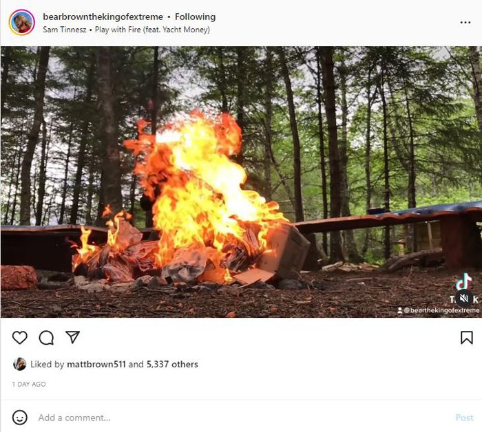 Bear Brown TikTok post