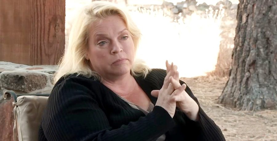 Janelle Brown Sister Wives YouTube