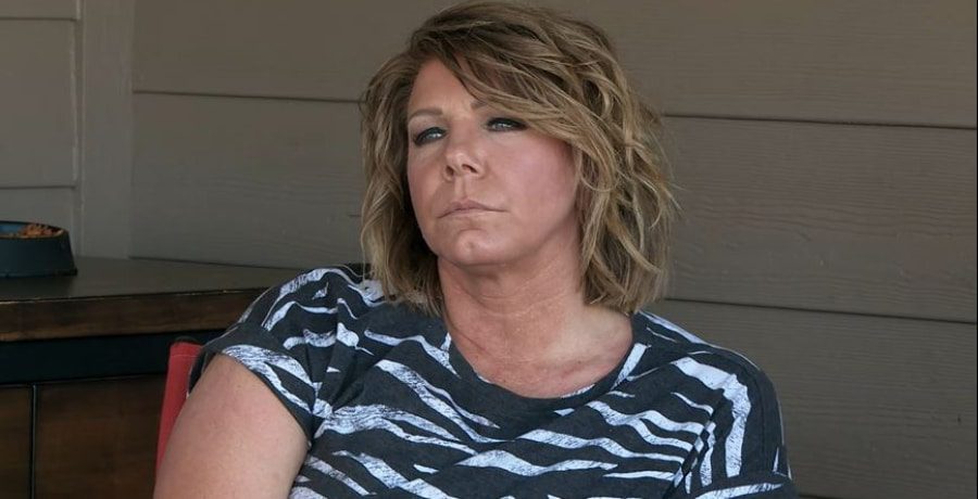 Meri Brown Sister Wives YouTube