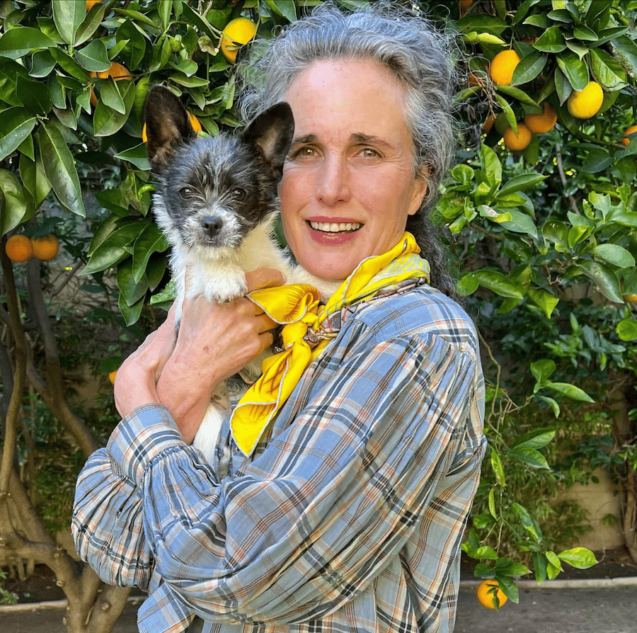 Hallmark's Andie MacDowell pet rescue-https://www.instagram.com/p/Cns5vtNrecX/