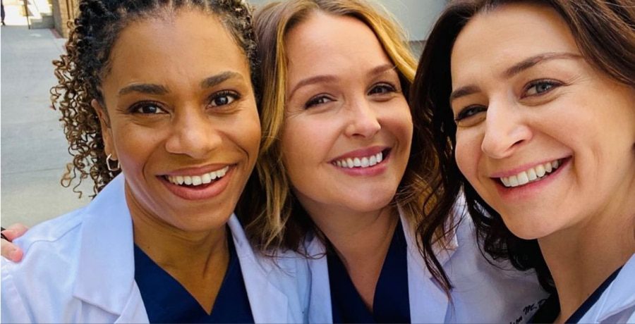 Grey's Anatomy Caterina Scorsone pets IG