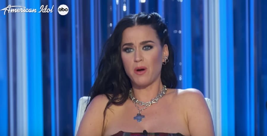 Katy Perry Wears Strapless Plaid Dress [Source: YouTube]