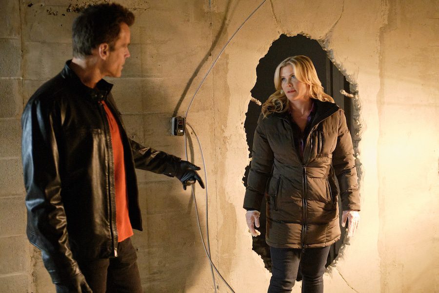 Photo: Cameron Mathison, Alison SweeneyCredit: @2023 Hallmark Media/Photographer: Bettina Strauss