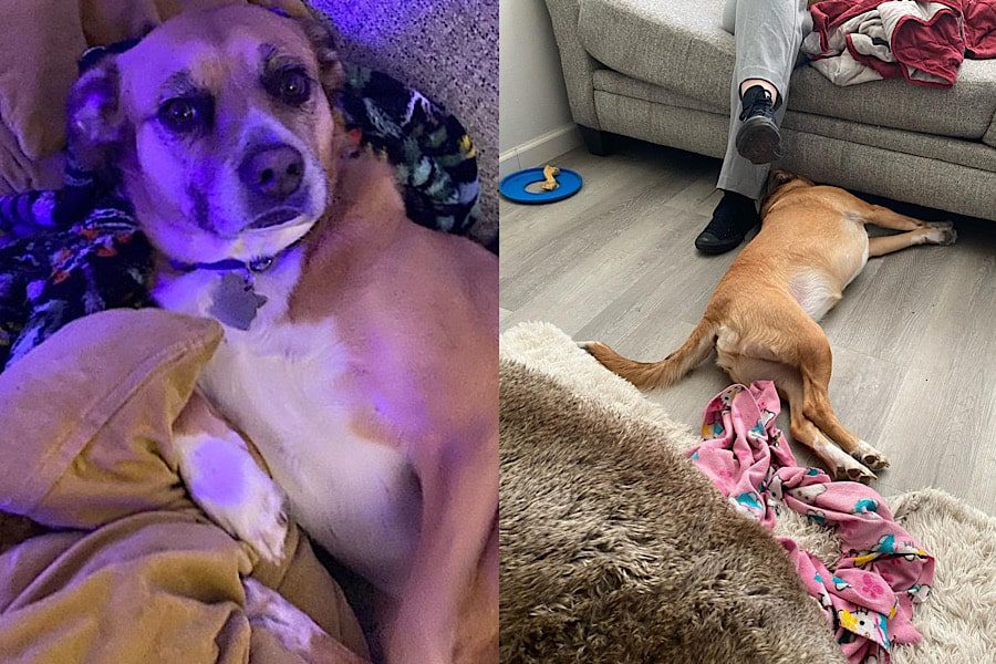 Gwendlyn Brown/Instagram