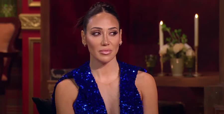 Melissa Gorga/RHONJ/YouTube