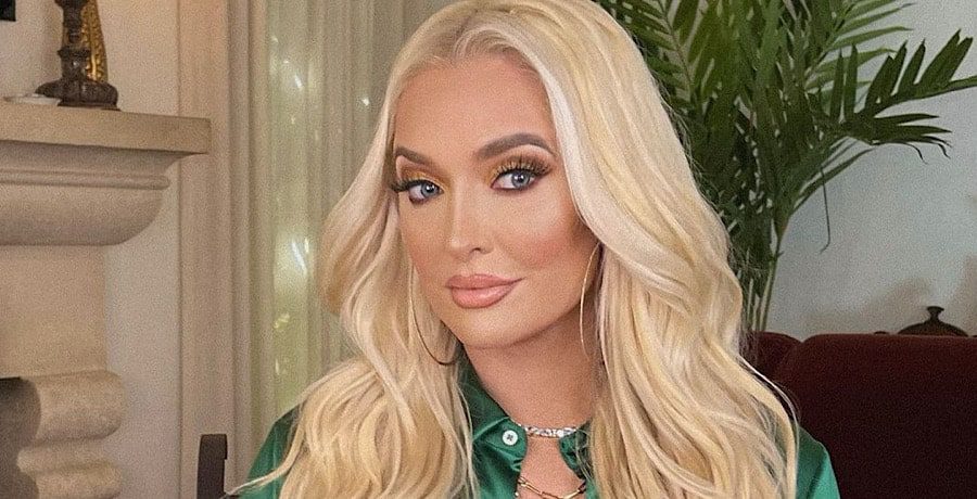 Erika Jayne/Instagram