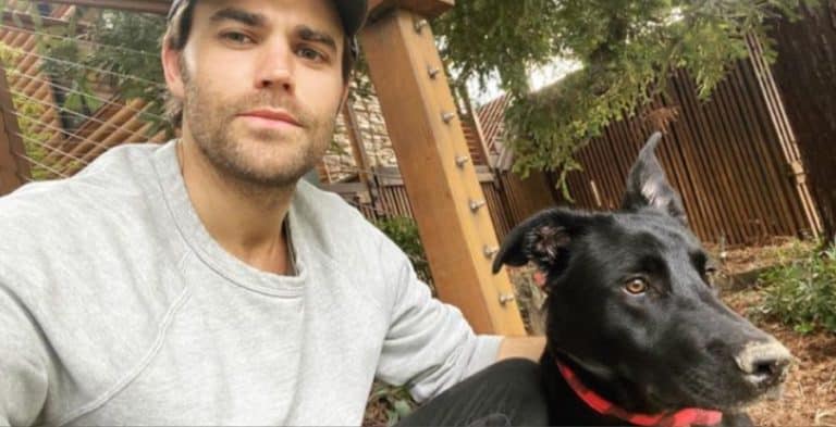 Paul Wesley Instagram