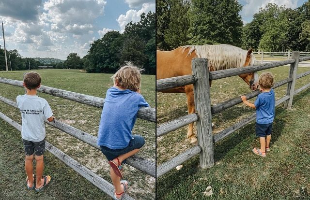 Counting On Jill Sam Israel Instagram