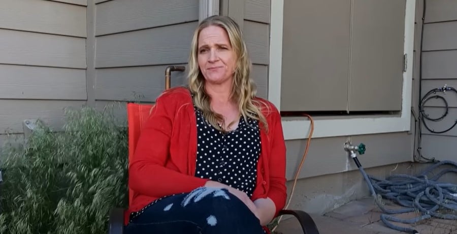 Christine Brown from Sister Wives, TLCSourced from YouTube