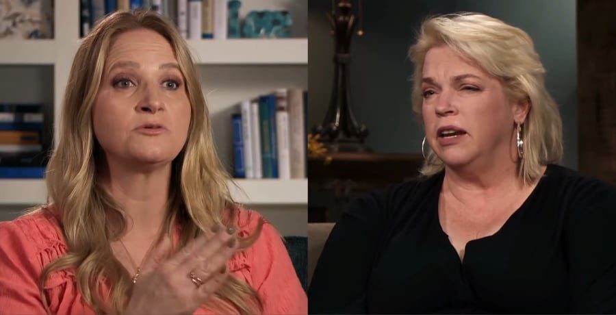 Janelle and Christine from the Brown family on Sister Wives / YouTube