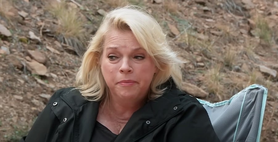 Janelle Brown from Sister Wives, TLCSourced from YouTube