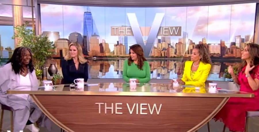 Whoopi Goldberg + co-hosts - The View - YouTube