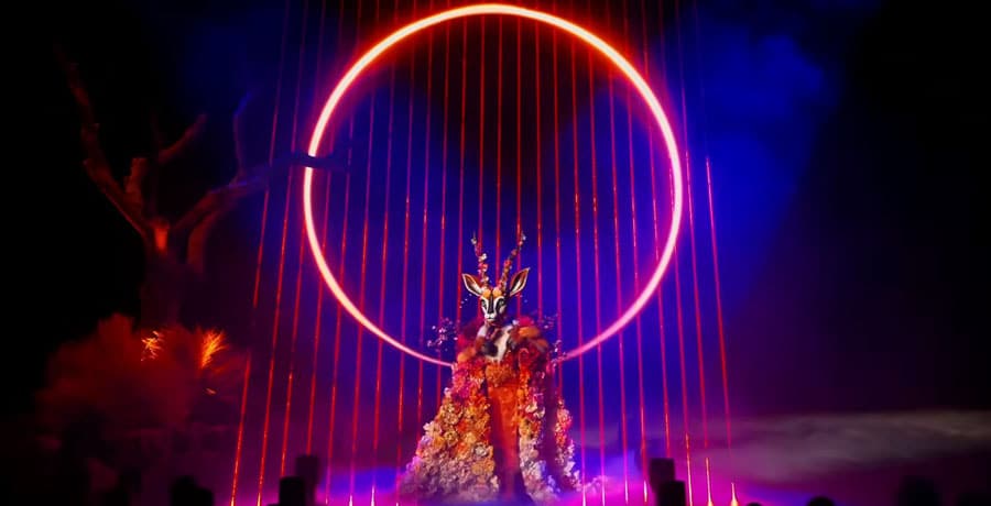 Gazelle on The Masked Singer / YouTube