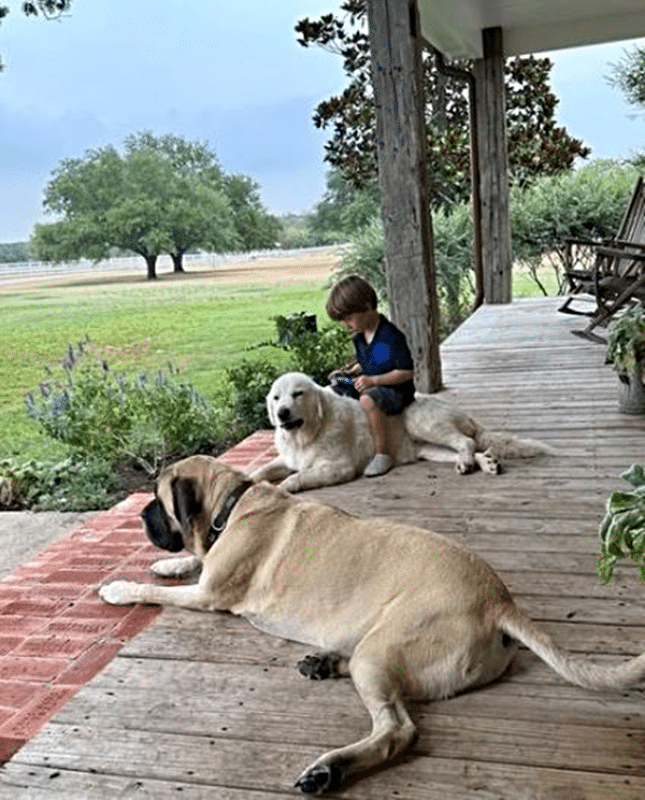 HGTV Magnolia Chip Gaines Son Crew Sits On Dog Fixer Upper Fans Rage Instagram