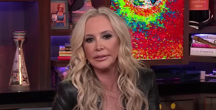 Shannon Beador-YouTube