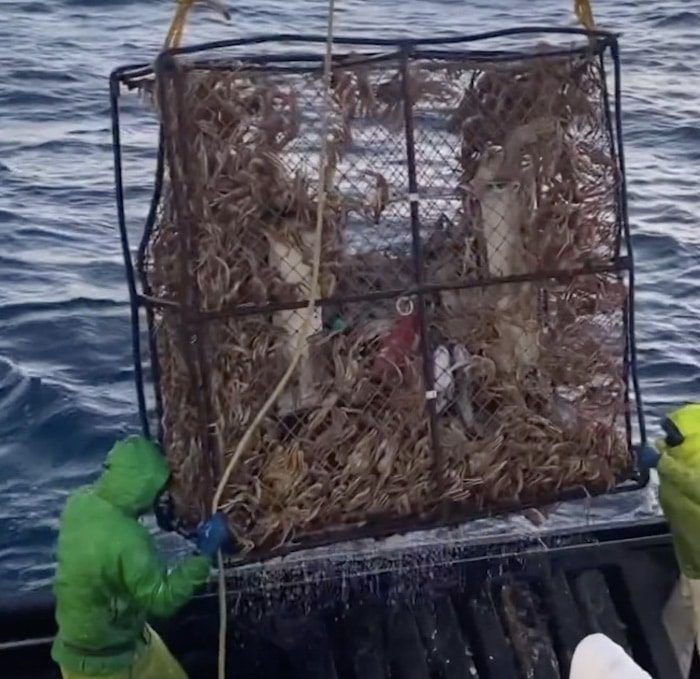 Deadliest Catch - Instagram