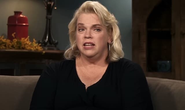 Sister Wives Janelle Brown YouTube