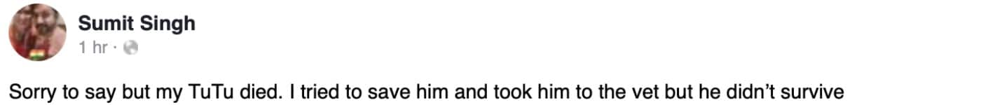 90 Day Fiance: Sumit Singh