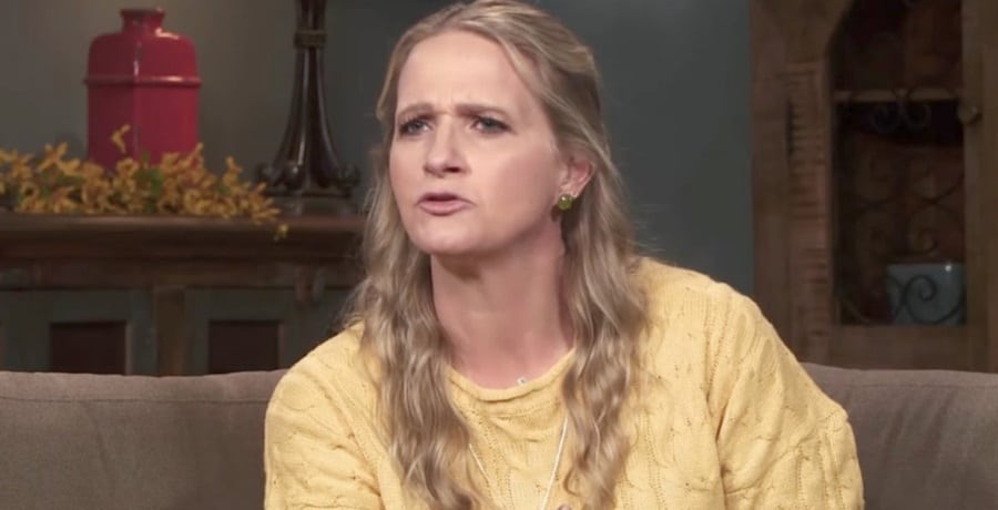 Christine Brown From Sister Wives, TLC, Sourced From Sister Wives Facebook