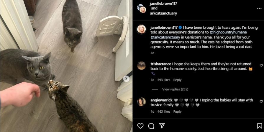 Garrison Brown's Cats: Catthew, Patches, and Ms. Buttons. - Instagram