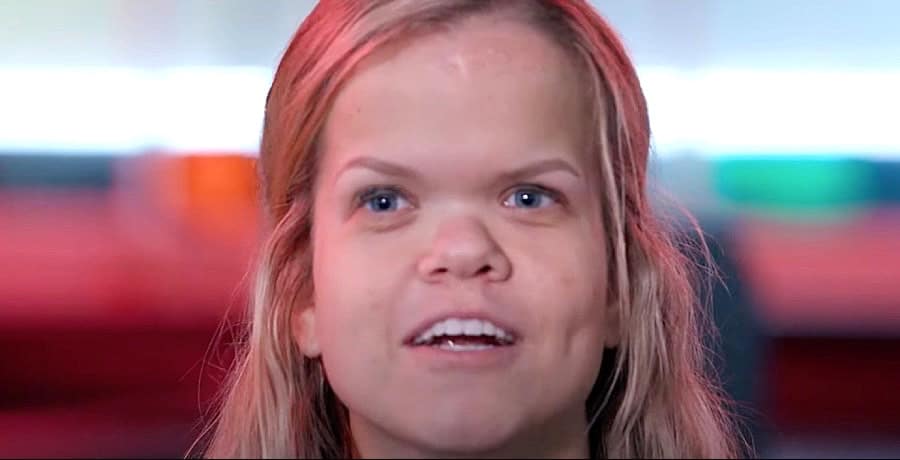 7 Little Johnstons: Anna Johnston