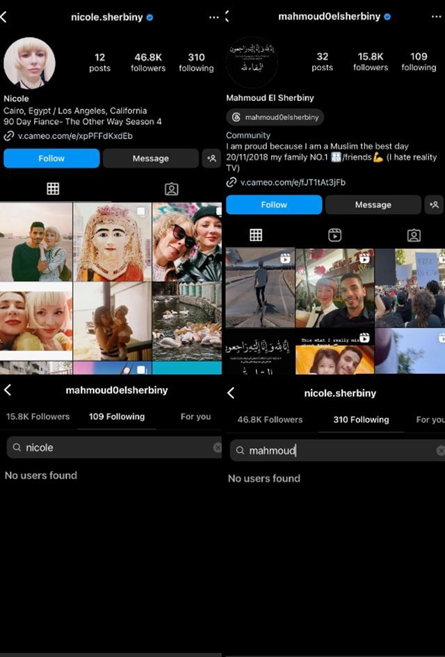 Nicole Sherbiny & Mahmoud Sherbiny From 90 Day Fiance, TLC, Sourced From Reddit