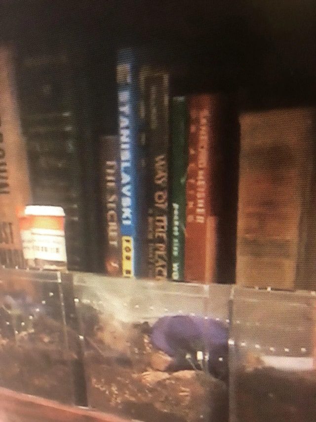 Rob Warne From 90 Day Fiance, TLC, Sourced From Reddit