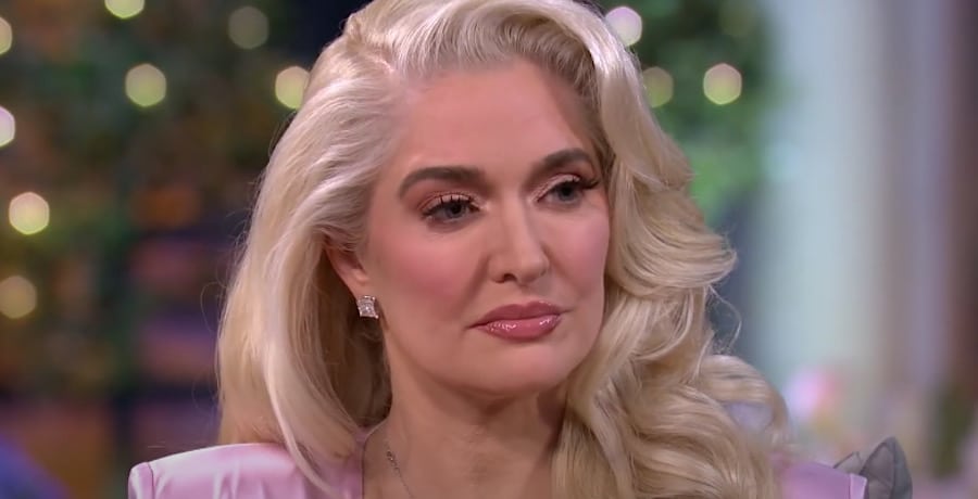 Erika Jayne-YouTube