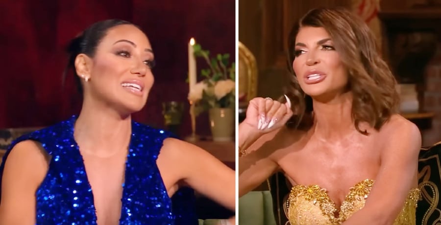 Melissa Gorga and Teresa Giudice/Credit: Bravo YouTube