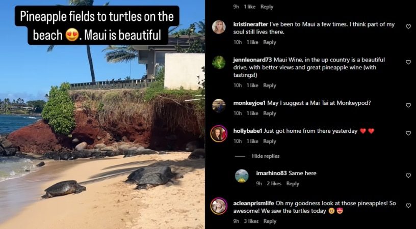 She is enjoying the heavenly scenery with turtles and pineapples. - Instagram 