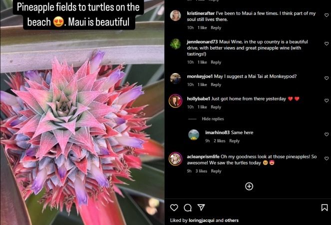 She shares beauty she sees on her trip. - Instagram 