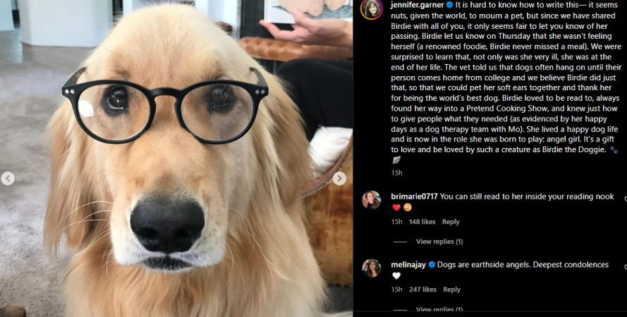 Jennifer Garner gives a beautiful tribute to her dog, Birdie. - Instagram