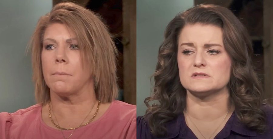 Meri Brown and Robyn Brown from Sister Wives, TLC, sourced from YouTube