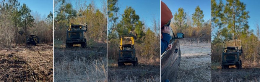 Maddie Brown Brush shows some of the process with Earl on her blog. - Taeda Farms